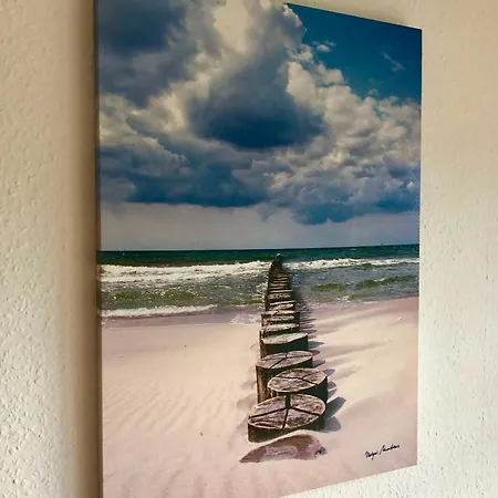 Blick Ins Gruene Gm 69866 Graal-Mueritz