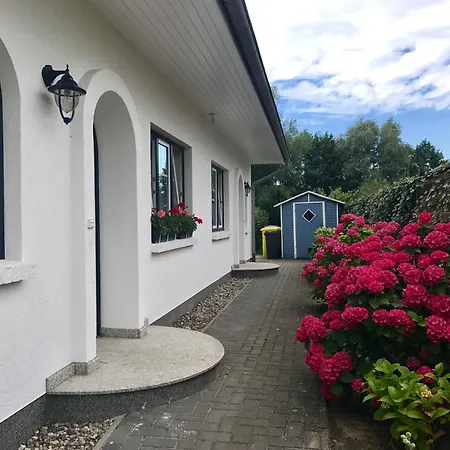 Blick Ins Gruene Gm 69866 Lejlighed