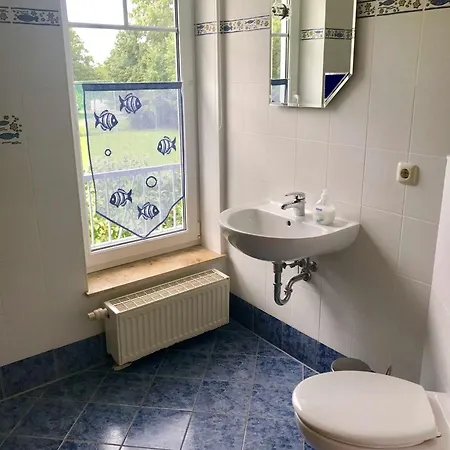 Blick Ins Gruene Gm 69866 * Graal-Mueritz