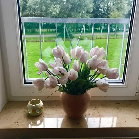 Blick Ins Gruene Gm 69866 Apartamento *