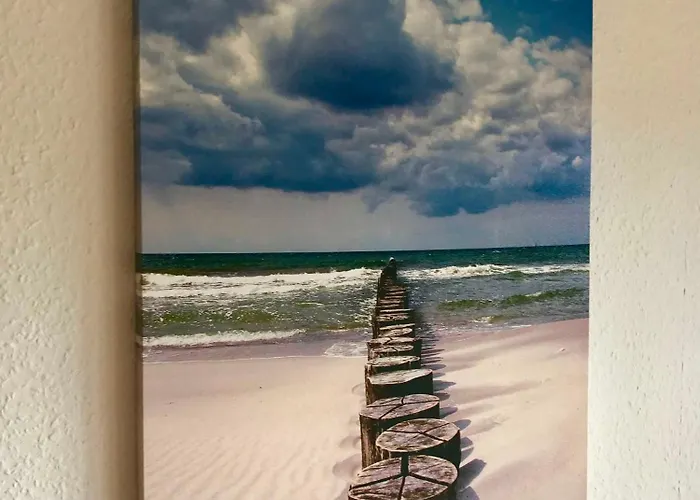 Blick Ins Gruene Gm 69866 Graal-Mueritz